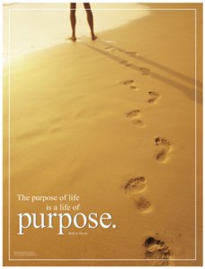 purpose of life