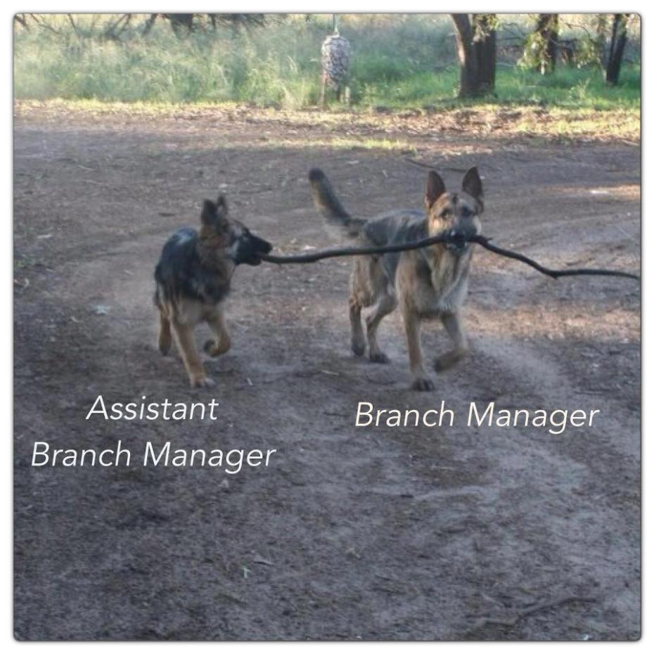 branch mgr