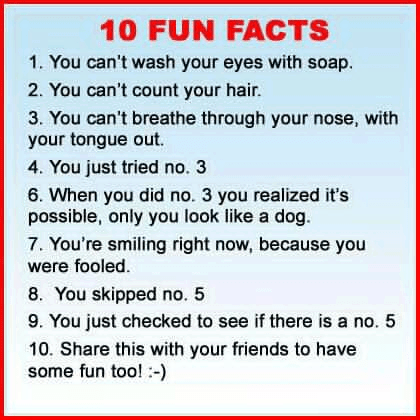 10 fun facts