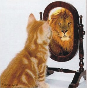 confidence and no doubt