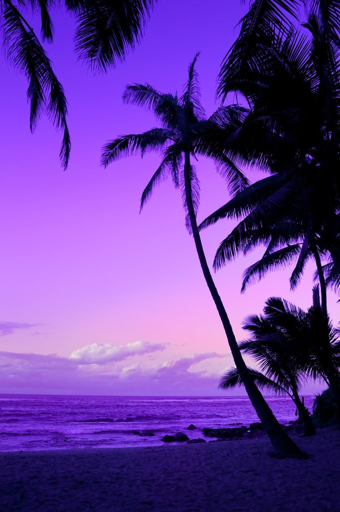 purple palm