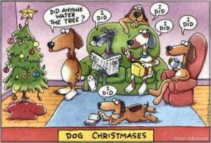 dog chrismases