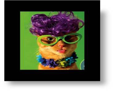 laughter is the best meds