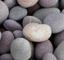 pebble