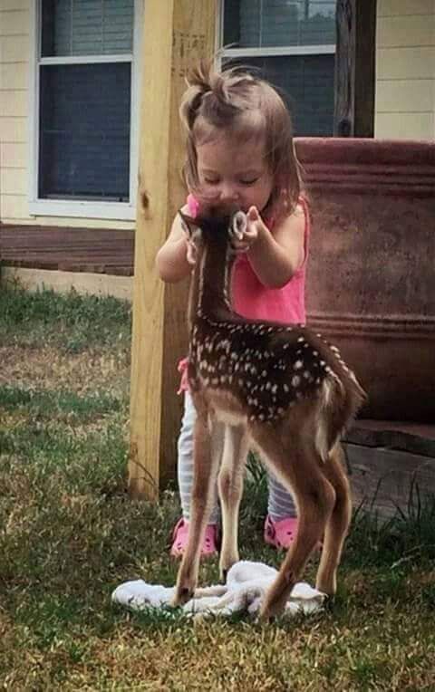 just-cute-as-a-button