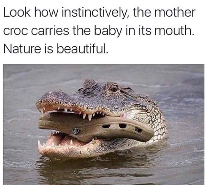 tumblr_of3lu6di2x1r1mpi1o1_1280