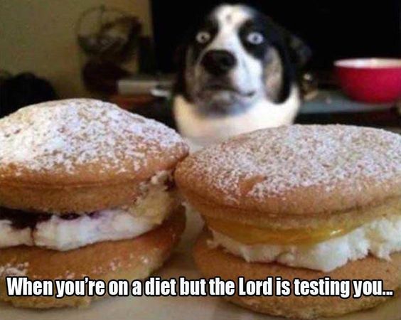 diet test
